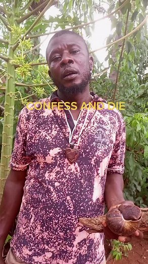 Cletus Ogbudu (@cletusogbudu)’s videos with original sound - Cletus Ogbudu