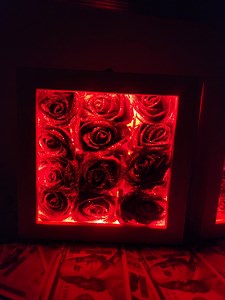 INFINITY ROSES - Etsy UK