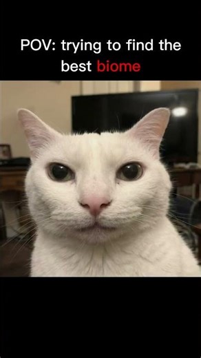 minecraft best biome