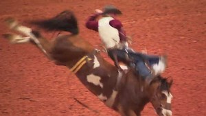 98th annual Arcadia All-Florida Championship Rodeo comes to Mosaic Arena