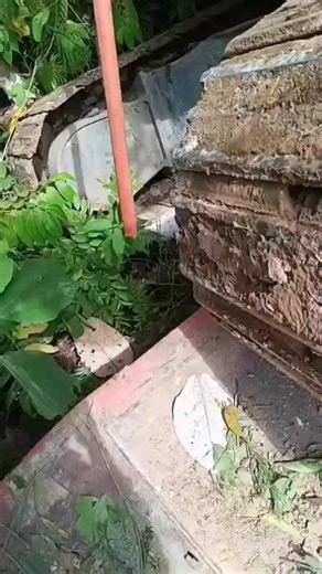 𝐍𝐄𝐓𝟐𝐍𝐄𝐓𝐍𝐄𝐖𝐒 📡 on Instagram: "INNAALILLAAHI ... EKS KETUA DPRD MENINGGAL TERTIMPA ALAT BERAT. Eks Ketua DPRD Pasaman, Syahrizal Yusuf, meninggal dunia tertimpa alat berat saat akan mengantarkan bantuan bencana di Sumatera Barat. Dikutip dari Kompas.com , Kasat Lantas Polres Pasaman, Sumatera Barat, Iptu Afrizal, menceritakan kronologi tewasnya eks Ketua DPRD Pasaman, Syahrizal Yusuf, ketika akan mengantarkan bantuan bencana. Peristiwa terjadi pada Rabu (3/12/2025) di Simpang Alahan Ma