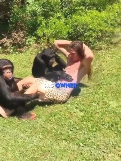 The Monkey who made his Owner do Push Ups