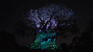 To commemorate the launch of Avatar Way of Water Disney Animal Kingdom will present an avatar projection performance on the symbolic Tree of Life. #disney | Disney World Packages -Orlando Florida