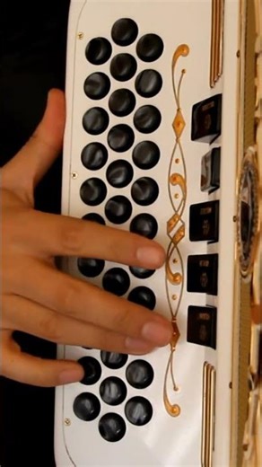 Intocable - El Amor #acordeon #musica #hohner