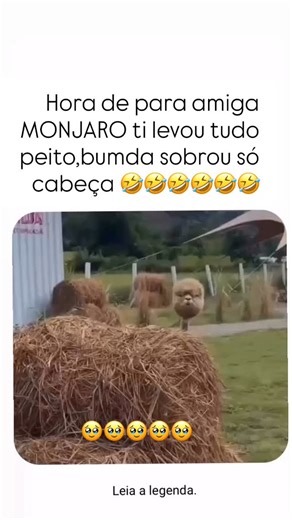 Clarisce Reis on Instagram