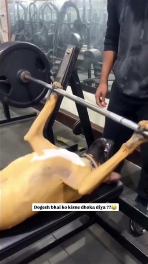 Pahli Baar Gym Gya Tha 🥲 #shorts #shortsfeed