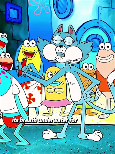 #SpongeBob #Cartoon #Animation #Funny #Recap