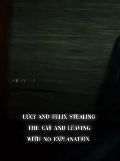 Exploring Lucy and Felix's Fate in Bird Box