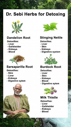 🌱Herbs Dr. Sebi used to detox the body 🌿 #reels #drsebi #detox #naturalremedies #alkaline | Dr OFURE herbal cure
