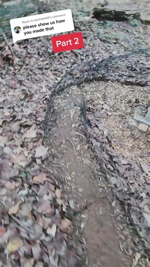 Katie.Williams.life on TikTok