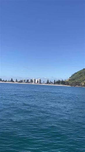 First Wild Chix Dive trip done! Even if we had to battle through some tough conditions we had a great time 🥳 #wildchixnz #wildchix #forwomenbywomen #empowerment #boating #diving #summer #dayonthewater #outdoors #newfriends