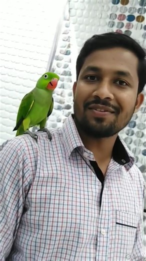 “Amar Tiya Pakhi amar sathe golpo korche 🦜😂”