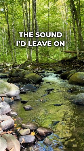 River Background Noise 💧 A Softer Sound for Your Day