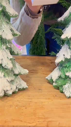 A decorated ~house tour~ of Sprout ready for the holidays! ✨ Our seasonal inventory of decor, plants, and gifts have been refreshed! We have lavender and rosemary “trees” and Norfolk pines in stock. We’re expecting more seasonal plants next week, including pines, cypruses, and Christmas cacti in bloom  | Transplanted Boston | Facebook