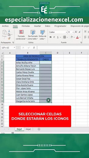Cómo se debe agregar check con iconos en excel #especializacionenexcel #excelfácil #excel #excelonline #exceltaller #excelpractico #excelbasico #excelintermedio #excelavanzado #excelplantillas #excelmoderno #excelprofesional #exceladministrativo #aprendeexcel #aprenderexcel