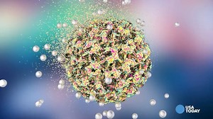 CDC officials: HPV infects nearly half of U.S. adults