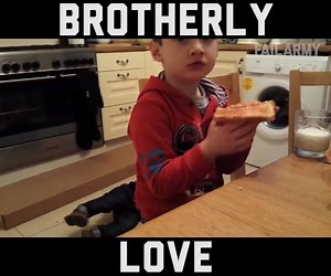 Funny Siblings Fail | Share Video