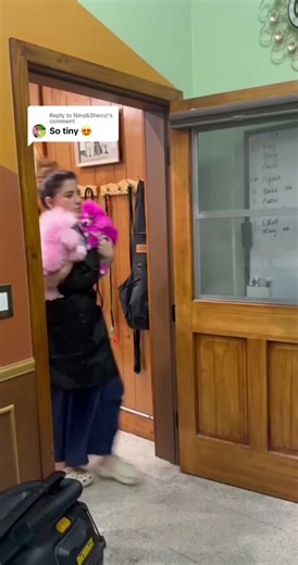 Tiny Pink Poodles ASMR 💞