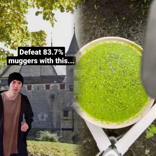 Avoid getting robbed with this strat (83.7% success rate)