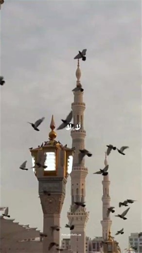 Kun Anta sped up | Humood AlKhudherA beautiful Arabic nasheed #KunAnta #HumoodAlKhudher #Arabic