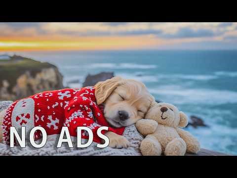 12 HOURS Healing Dog Music 🐶💖 Relax & Unwind 🎶 Anxiety Relief for Better Sleep 💤 No Ads