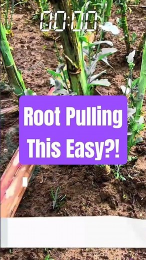 Simple Root Puller Tool in Action!