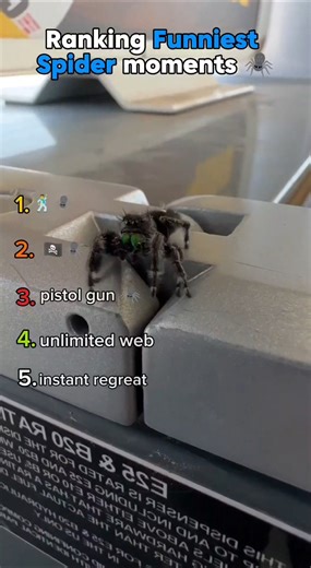 ranking Funniest spiders moments 🕷️ #shorts #funny