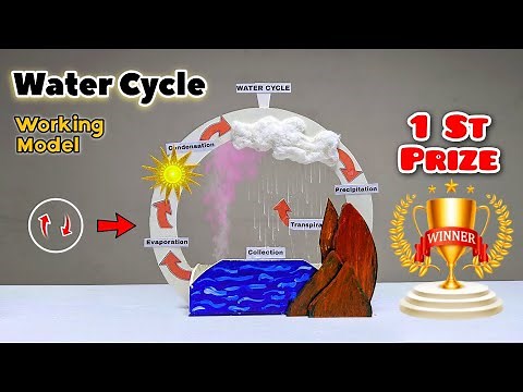 1st Prize Winning Water Cycle Working Model for School Exhibition! (Easy Science Project Idea)