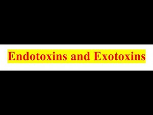 What are Endotoxins and Exotoxins? #BacterialToxins #Pathogens #ToxinsExplained #Tetanus