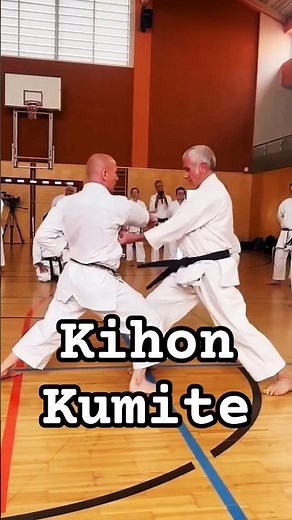 Kihon Kumite | Tsuki-Uke-Geri #karate #kihon