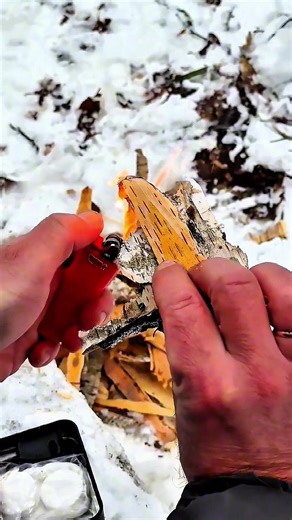 Mastering Outdoor Survival Skills for All Adventures
