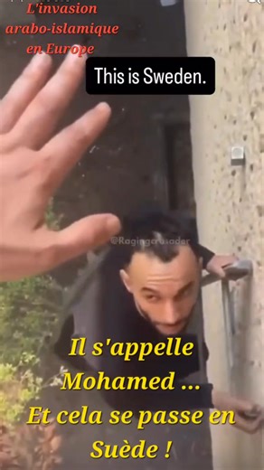 Ce n'est pas un film L'INVASION arabo-islamique en Europe Il s'appelle Mohamed, il jure "wallah". Il s'inflitre, par le biais d'une échelle, chez une famille qui le supplie d'arrêter mais le gars continue son "œuvre". Il rentre après avoir tailladé par un couteau de cuisine le pauvre habitant, il casse la vitre et rentre à la maison comme si c'était chez lui ! Cela se passe en Suède, en 2025. | AKAL