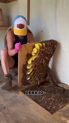 ¿Qué se escondía debajo?