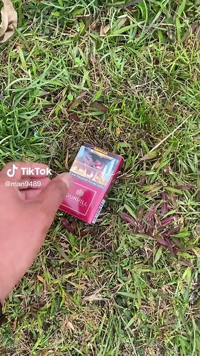 Exploring Dunhill Rocket Peppermint Cigarettes