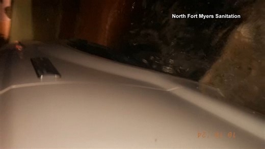 VIDEO: An alligator attacked a tire in North Fort Myers as the vehicle drove through flood water. Details: https://bit.ly/3YgjLb0 | WFLA News Channel 8