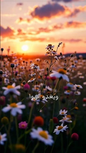 The way of Tears nasheed||Muhammad Al Muqit||#‪@suhanamallick9852‬ #nasheed