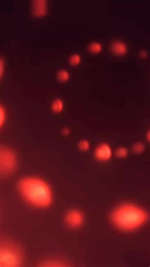 Unlocking Your Zlover Account: Common Issues and Solutions