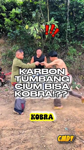 Karbon tumbang cium bisa kobra⁉️🤣 #shorts