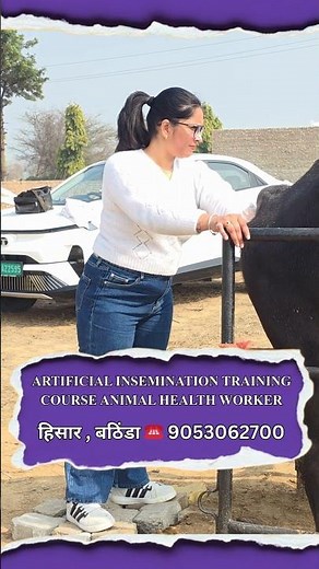 Veterinary Field Training | Dairy & Farm Animal Care Course | Practical Learning Step by Step |