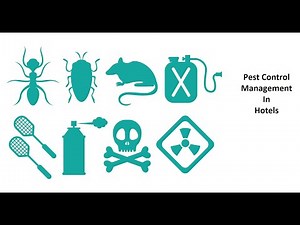 Pest Control Management in Hotels