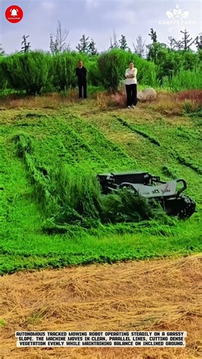 Autonomous Slope Mowing Robot: Precision Grass Cutting on Steep Terrain