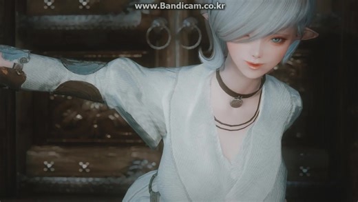 【上古卷轴5】NiOverride Pose Adjustments ver 0.2 使用教程