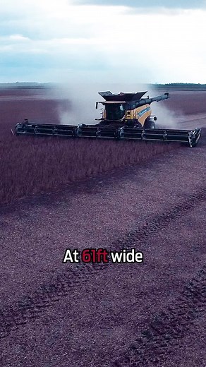 Maximize Harvest Efficiency with MacDon FD261