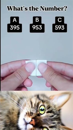 new funny video bro 😅😅#shorts #trending #viral #comedy #funny