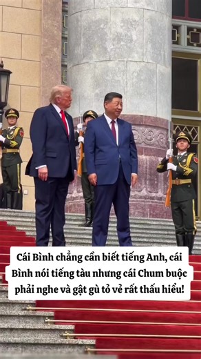 Cái Bình nói tiếng tàu, Cái Chum gật gù như hiểu — Clip hài ngắn