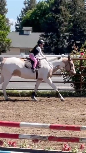 First Two Point Canter for Nine Year Old Beginner English Riding #horse #pony #horseriding