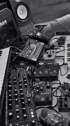 #techno #synthesizer #liveperformance