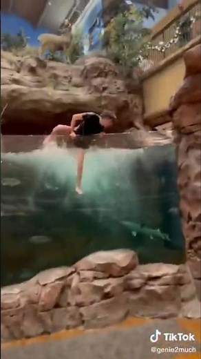 This Trend Is Disrespectful😳 Jumping in The Bass Pro Shop Fish Tank #animals