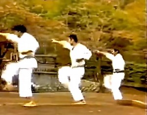 218K views · 4.5K reactions | Karate | Karate Techniques | Facebook