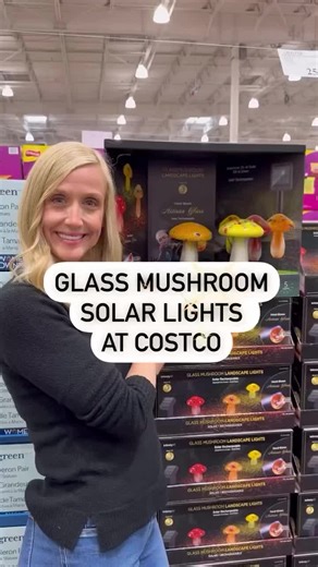 Rechargeable Mushroom Solar Lights at Costco